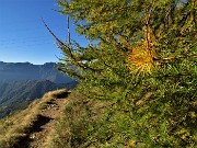 Rif. Benigni con Cima Piazzotti-ValPianella-15ott21  - FOTOGALLERY